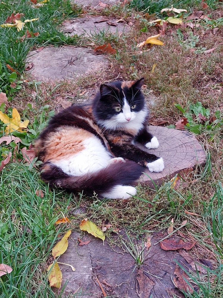 Photograph by Нина Паршина