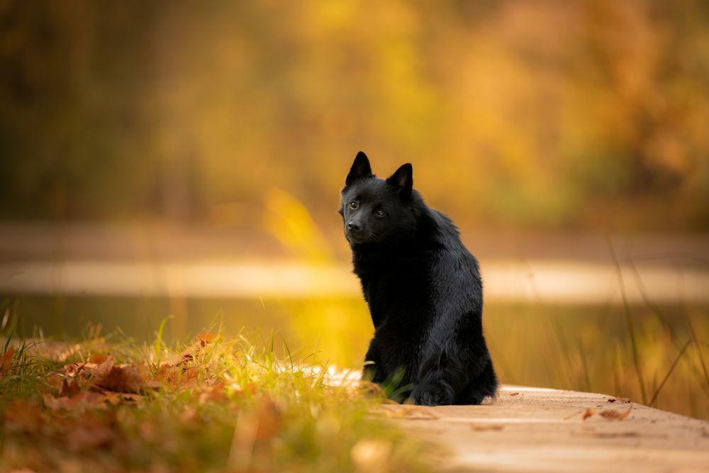 Photograph by Мария Калинина