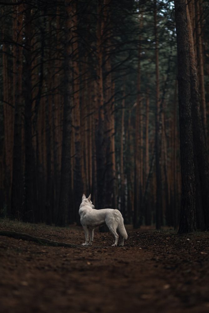 Фотография автора Марина Дятлова