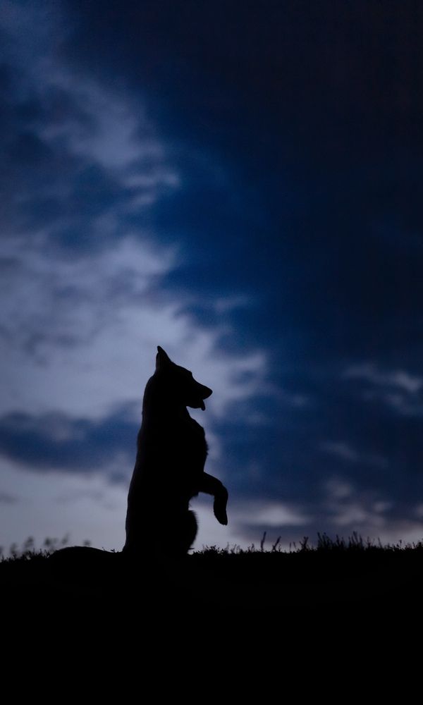 Фотография автора Марина Дятлова