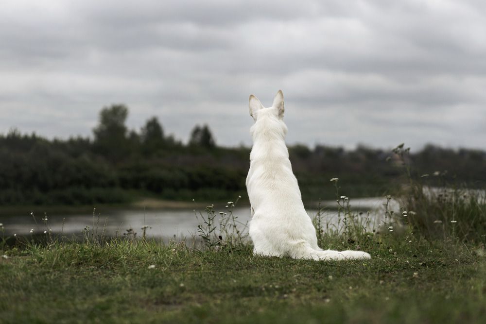 Фотография автора Марина Дятлова