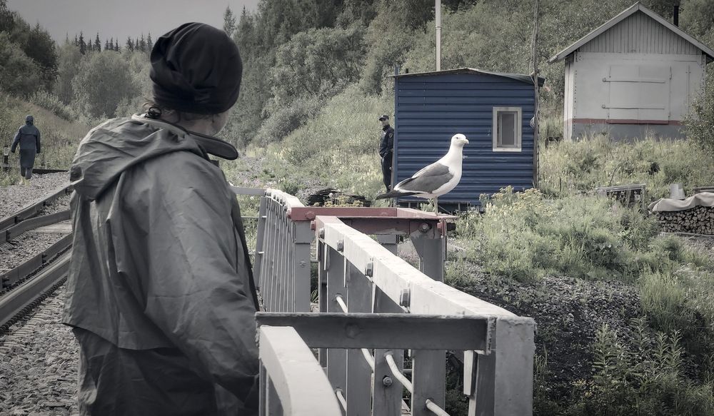 Photograph by Пирог Борис