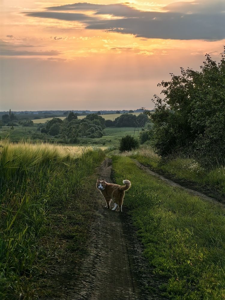 Photograph by Анастасия Доронкина