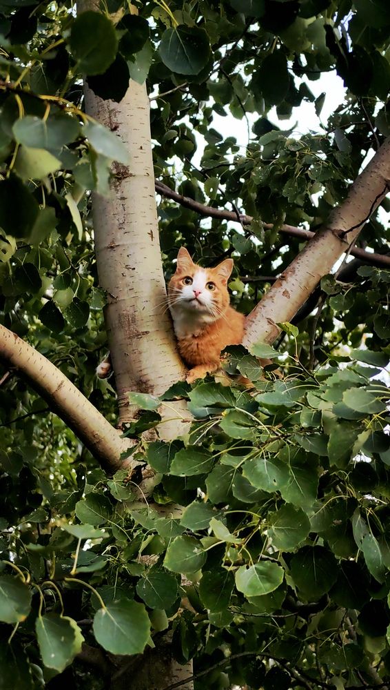 Photograph by Анастасия Доронкина