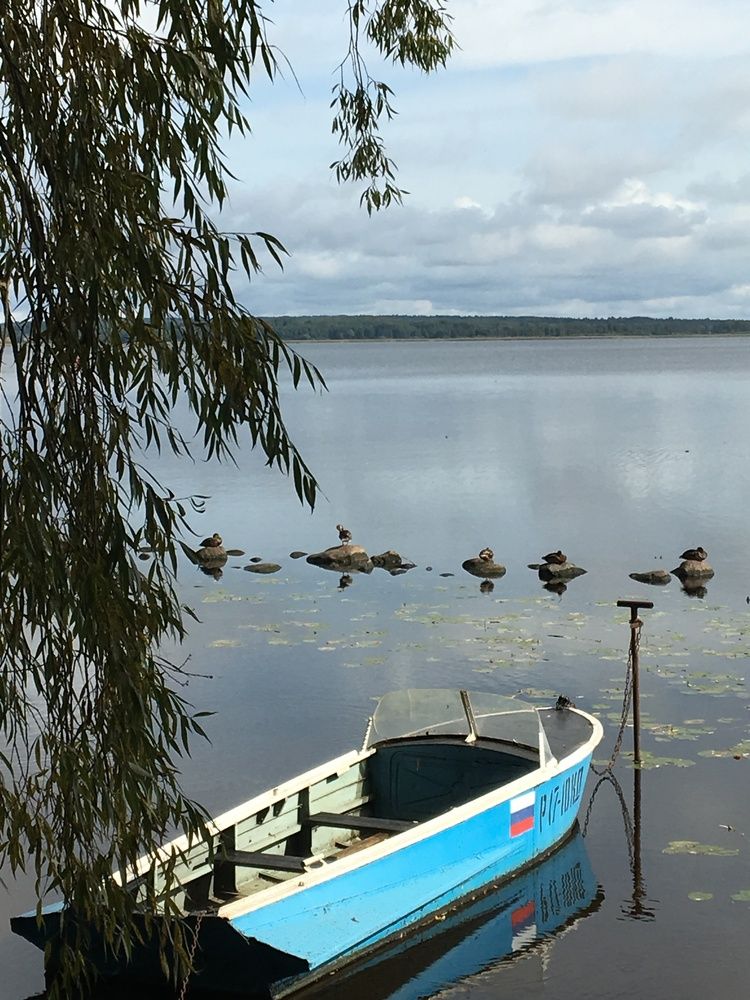 Photograph by Ирина Елисеева
