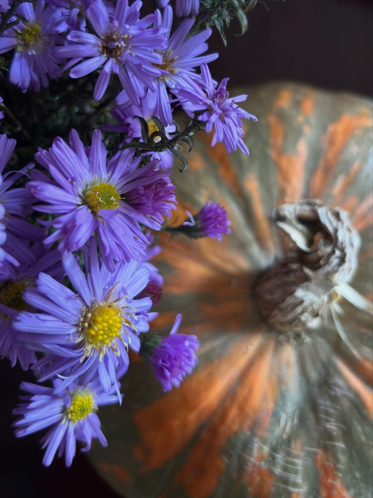 Photograph by Ирина Елисеева