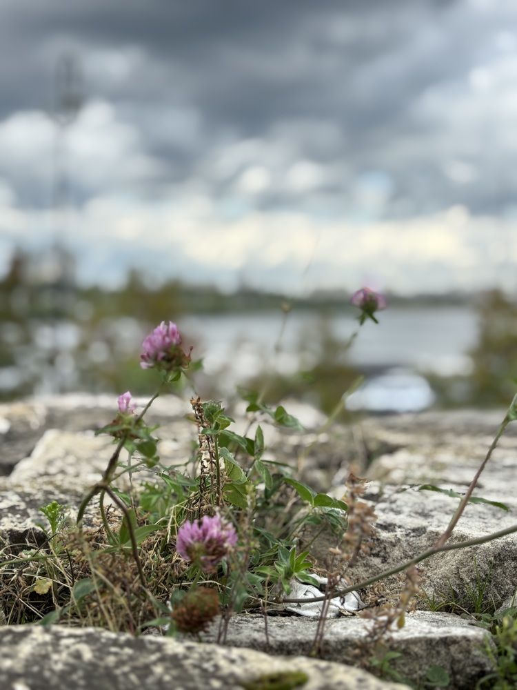 Photograph by Ирина Елисеева