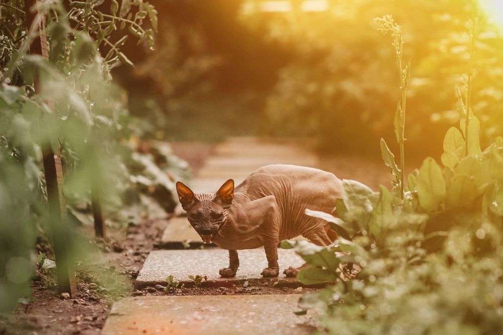 Photograph by Роман Мацнев