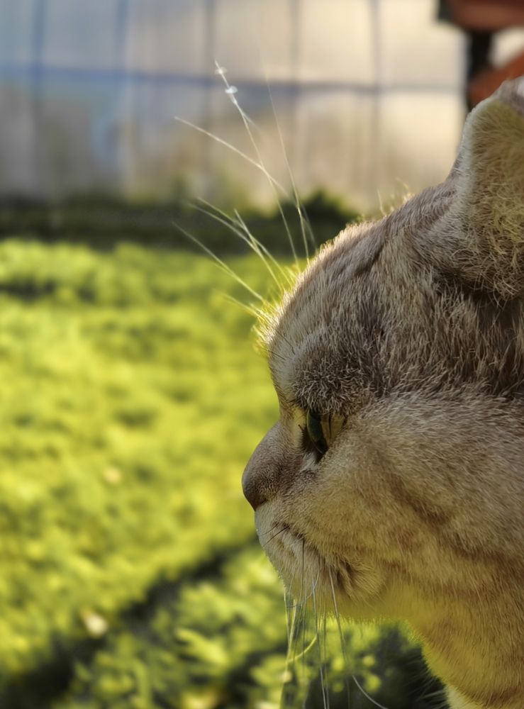 Photograph by Марина Опарина