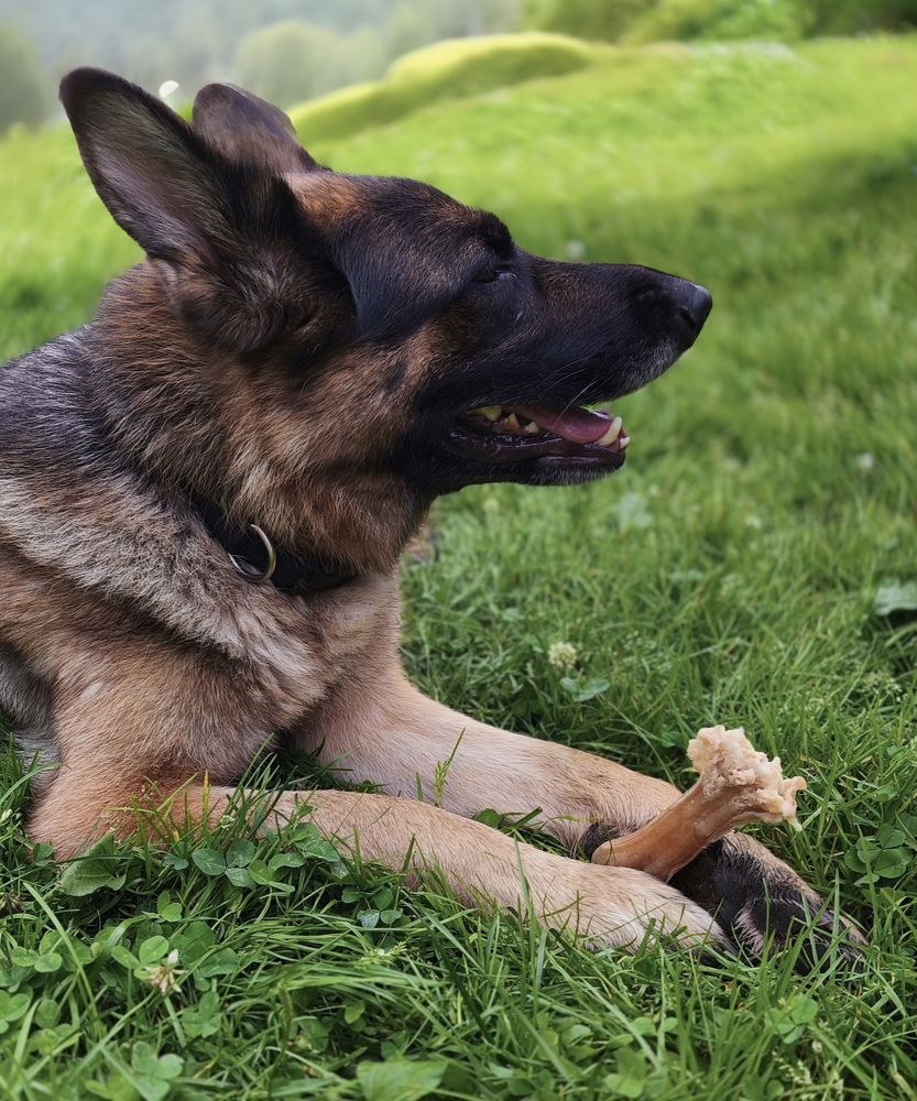 Photograph by Марина Опарина