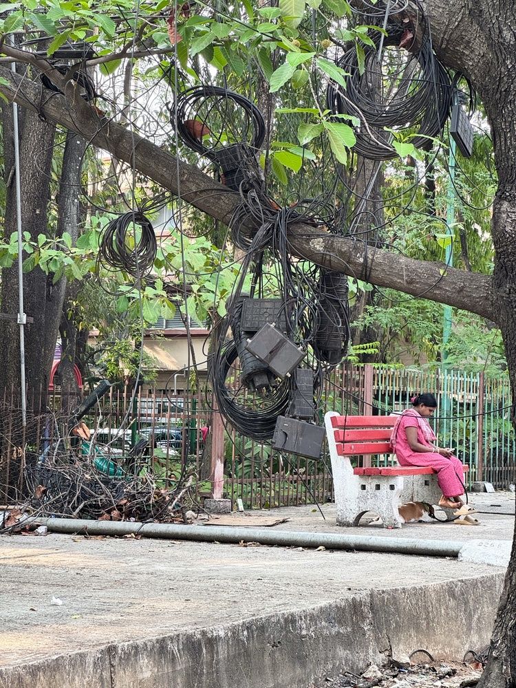 Photograph by Мозжухин Максим