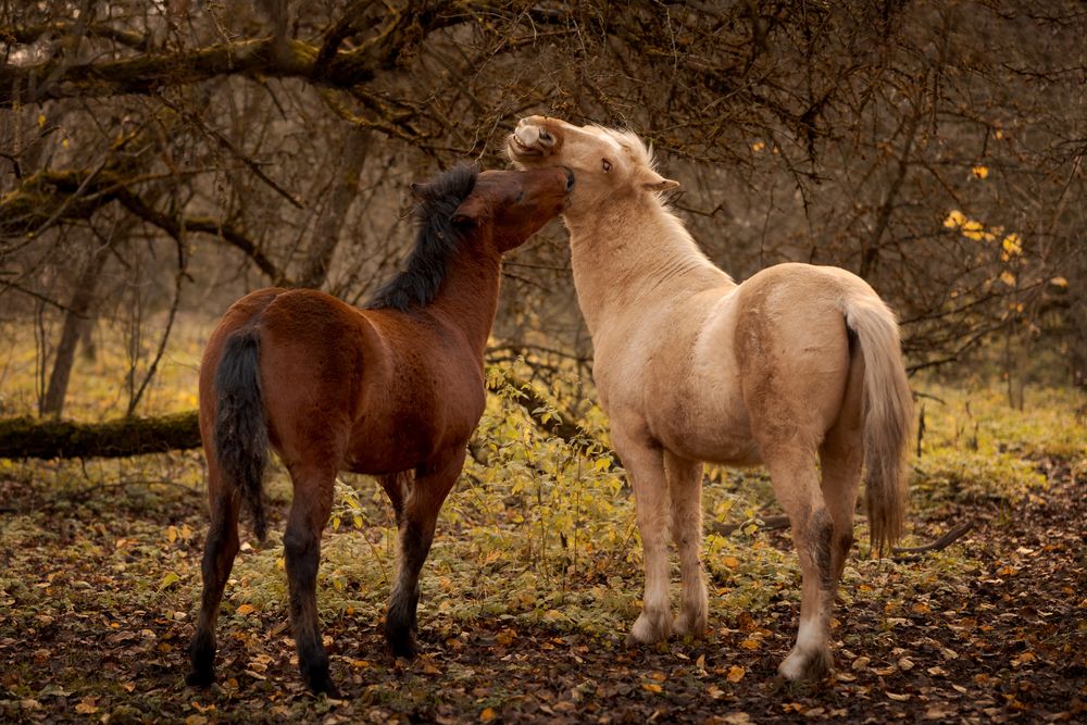 Photograph by Кончакова Дарья