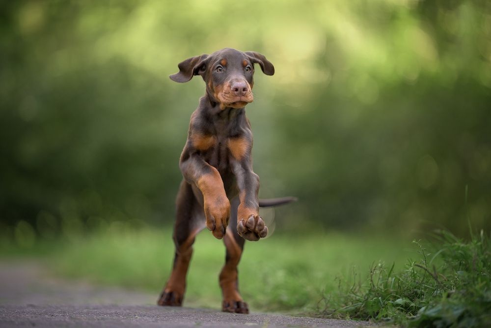 Фотография автора Мария Тигунова
