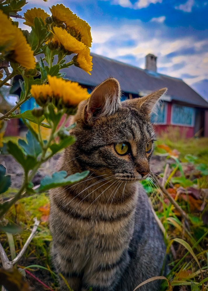 Photograph by Олеся Бронзова