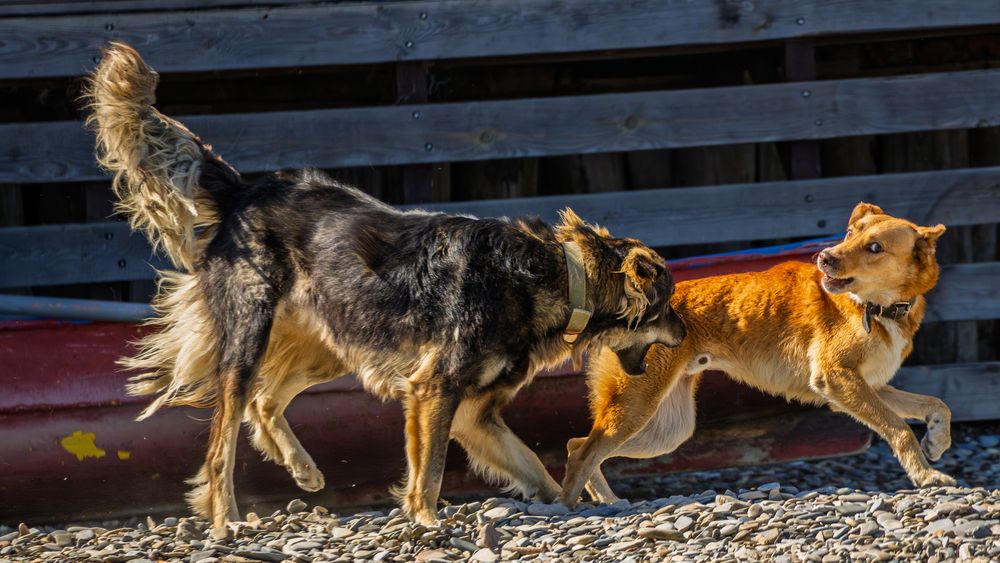Фотография автора Владимир Хакимов