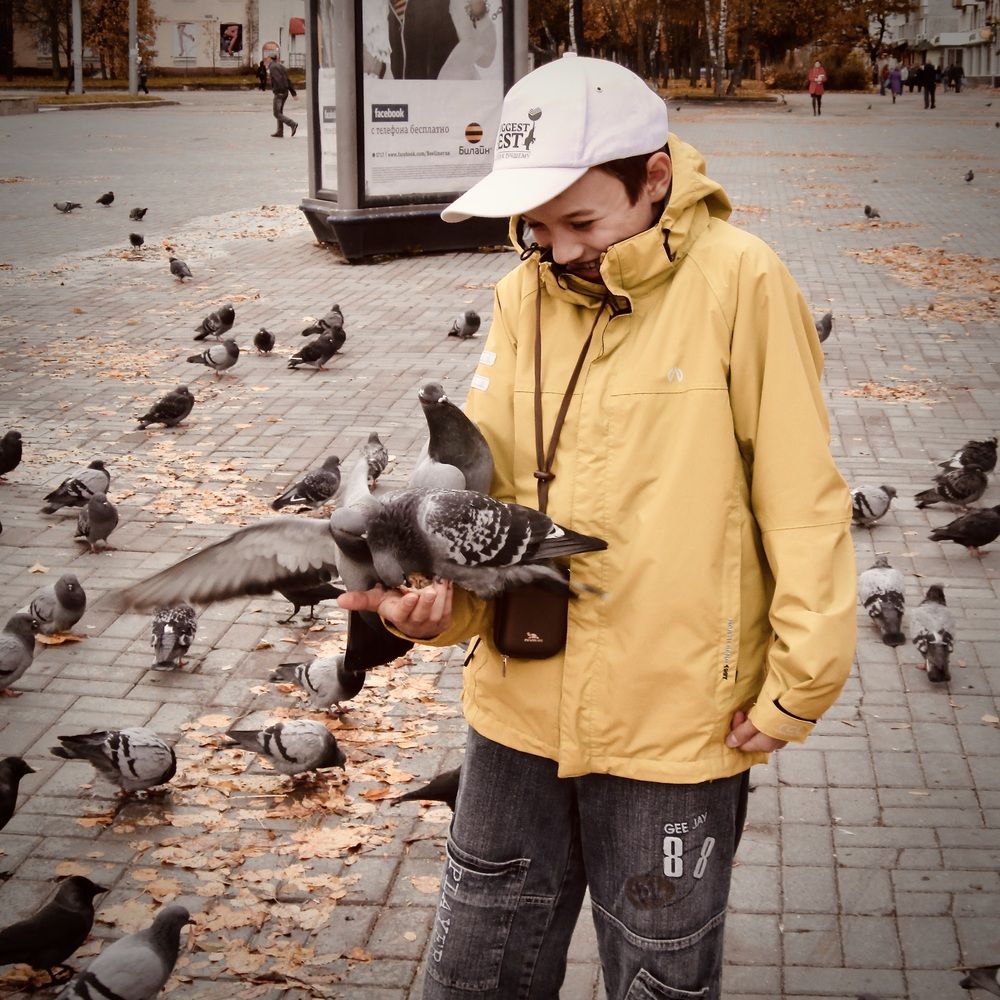 Алешкина голуби