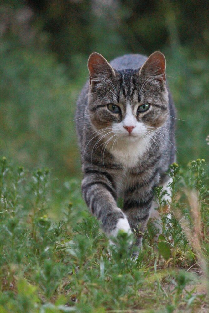 Photograph by Елена Сиднина