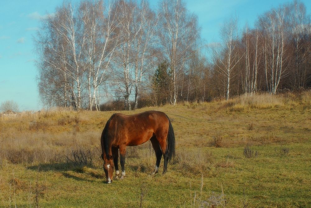 Photograph by Леонид Шнейдерман