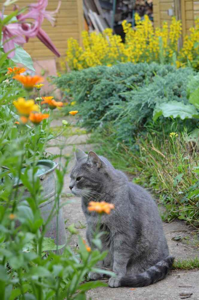 Photograph by Ксения