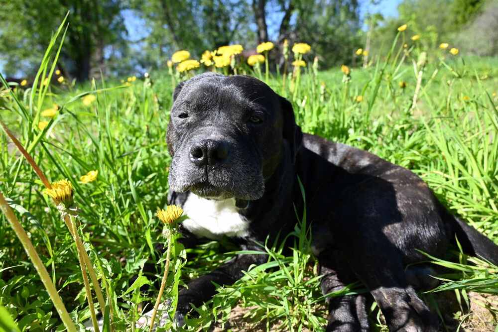 Photograph by Ксения