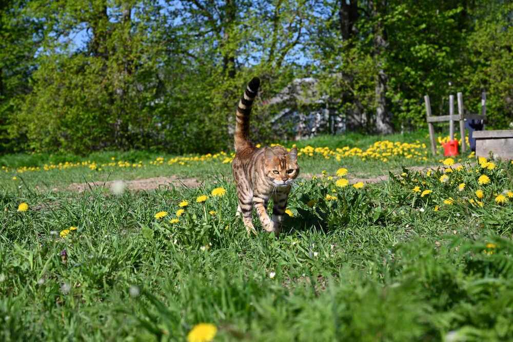 Photograph by Ксения