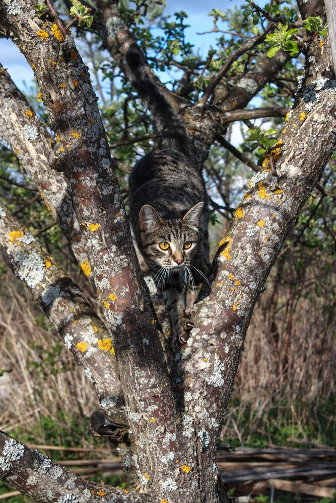 Photograph by Елена Сиднина