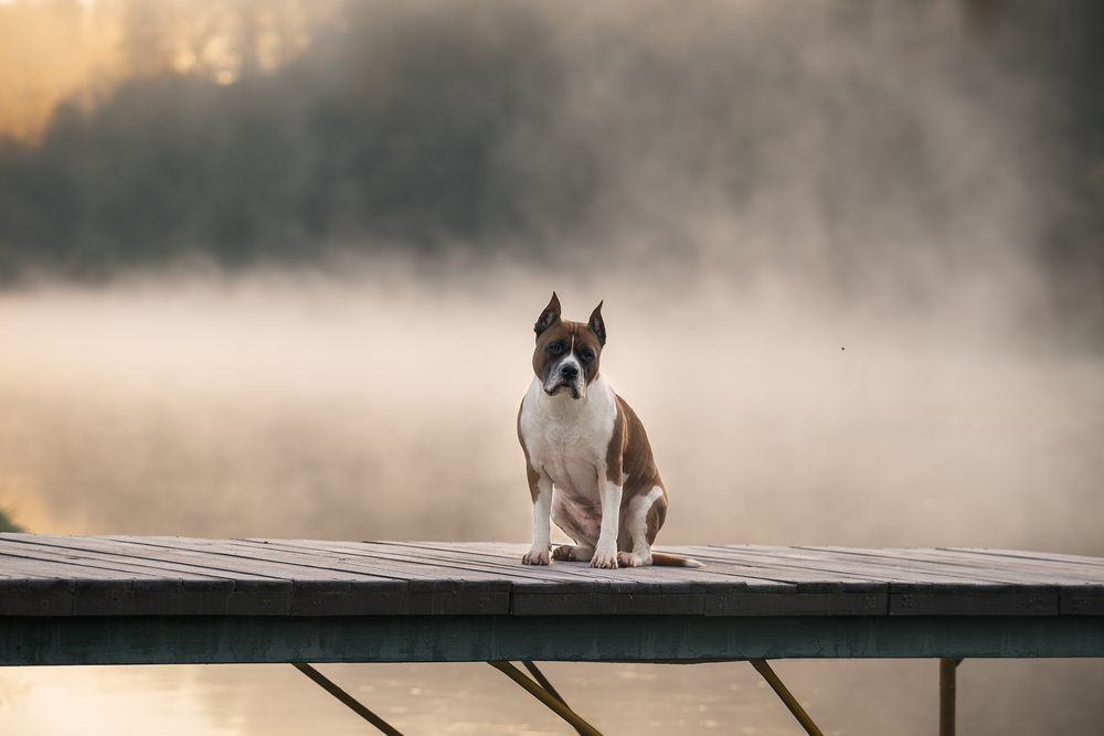 Фотография автора Мария Тигунова