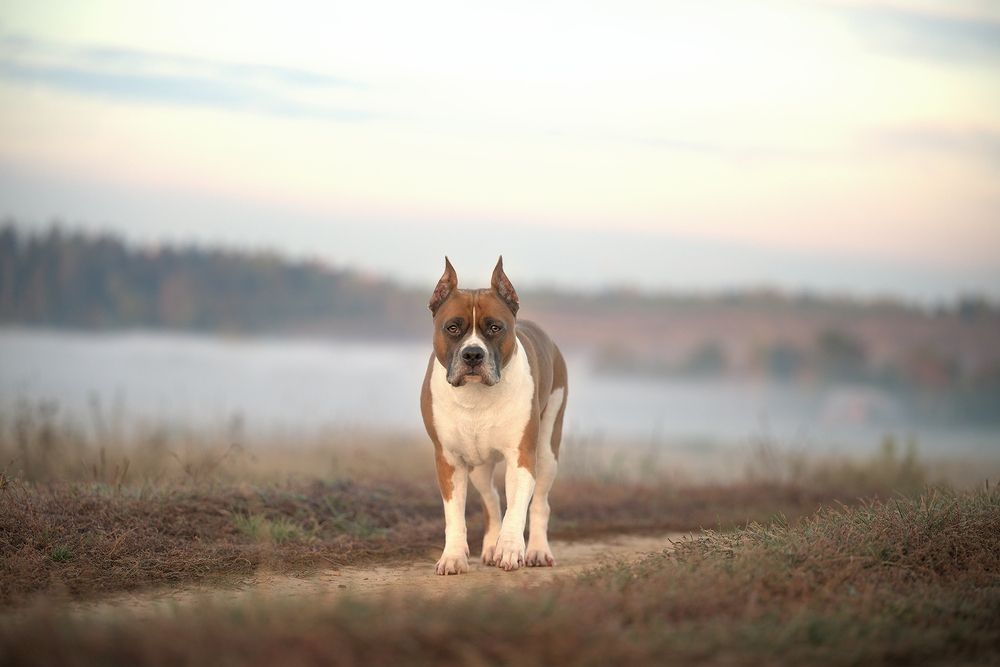 Фотография автора Мария Тигунова