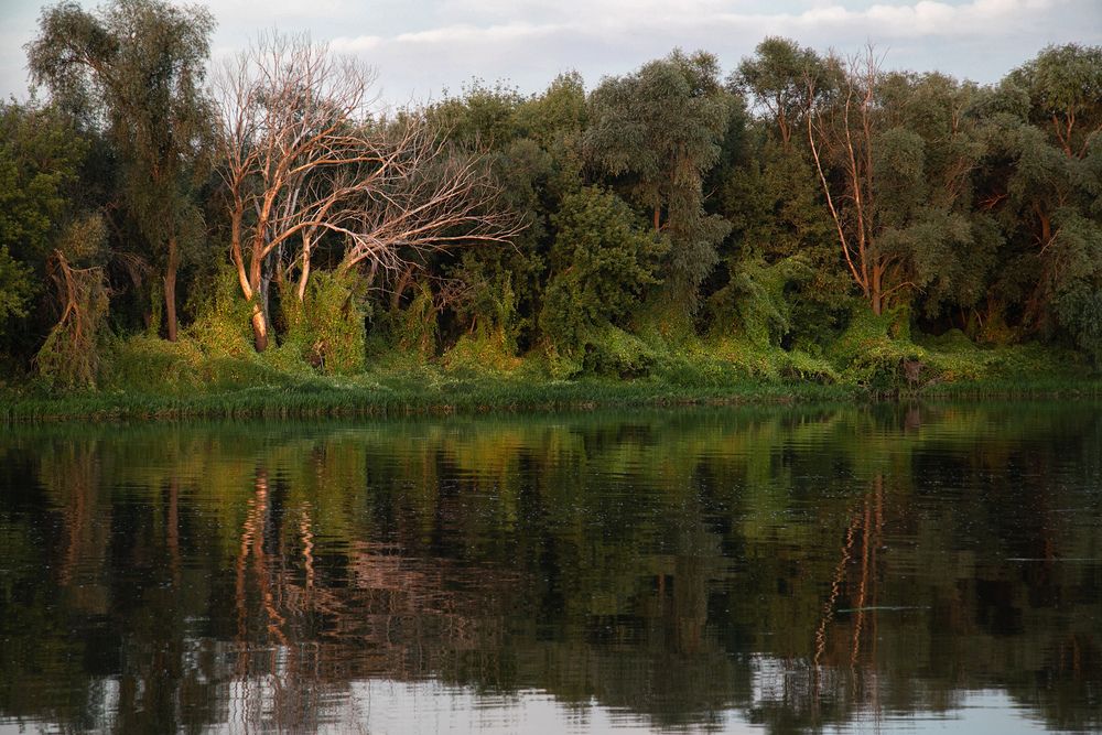 Летний вечер