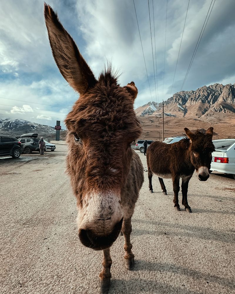 Photograph by Aleksey Rukin