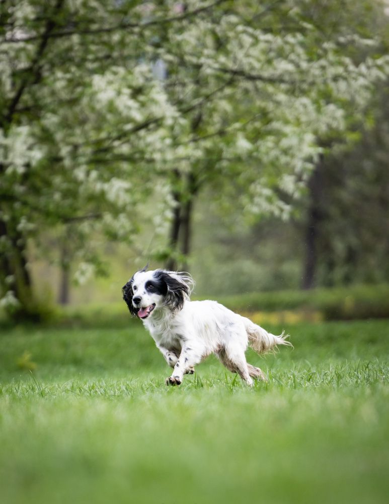 Photograph by Владимир Охрименко