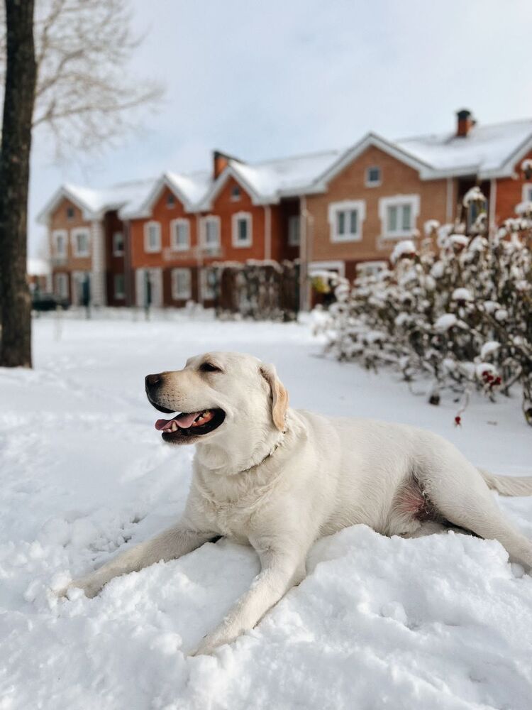 Photograph by Татьяна Волохова