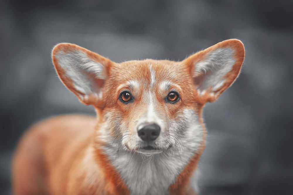 Photograph by Аксинья Лысенкова