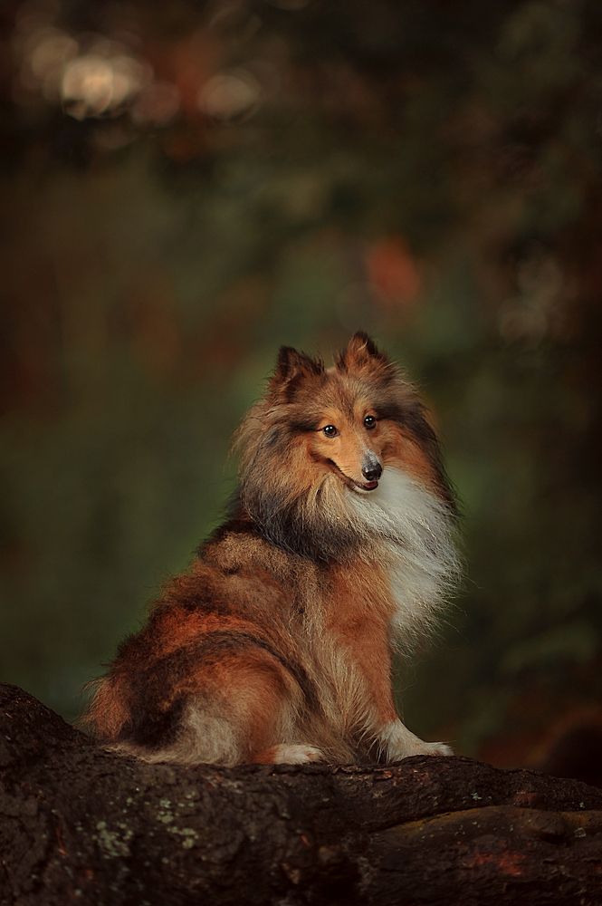 Photograph by Аксинья Лысенкова