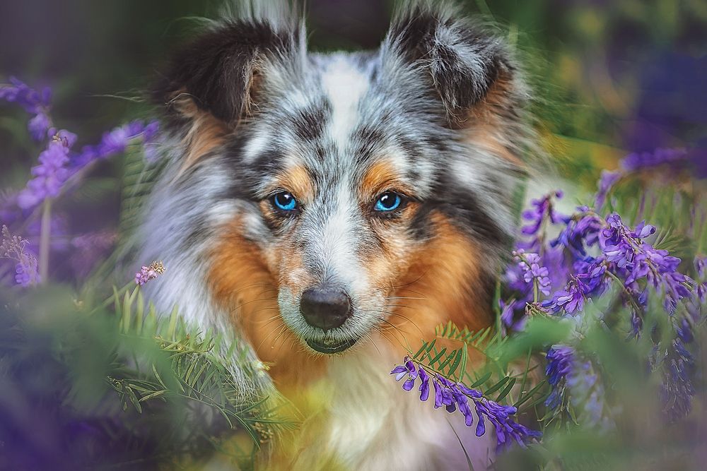 Photograph by Аксинья Лысенкова