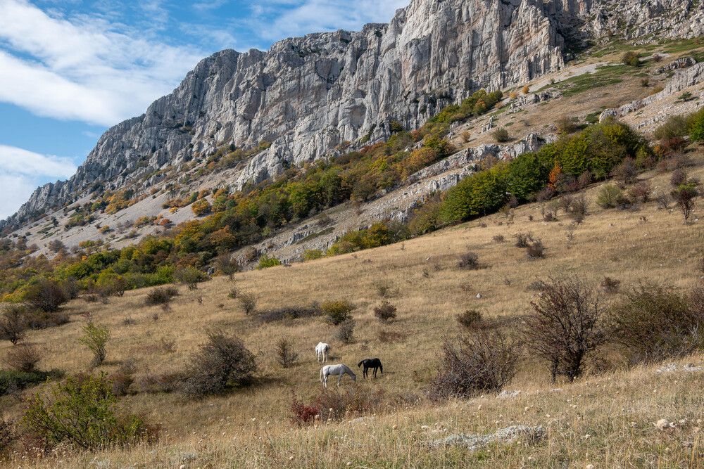 Photograph by Alex Kov