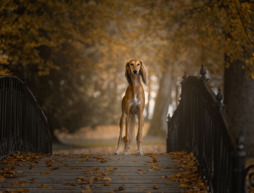 Photograph by Annemarie Visser