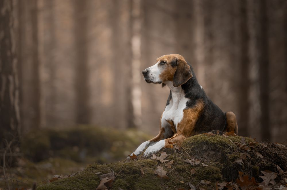 Photograph by Annemarie Visser