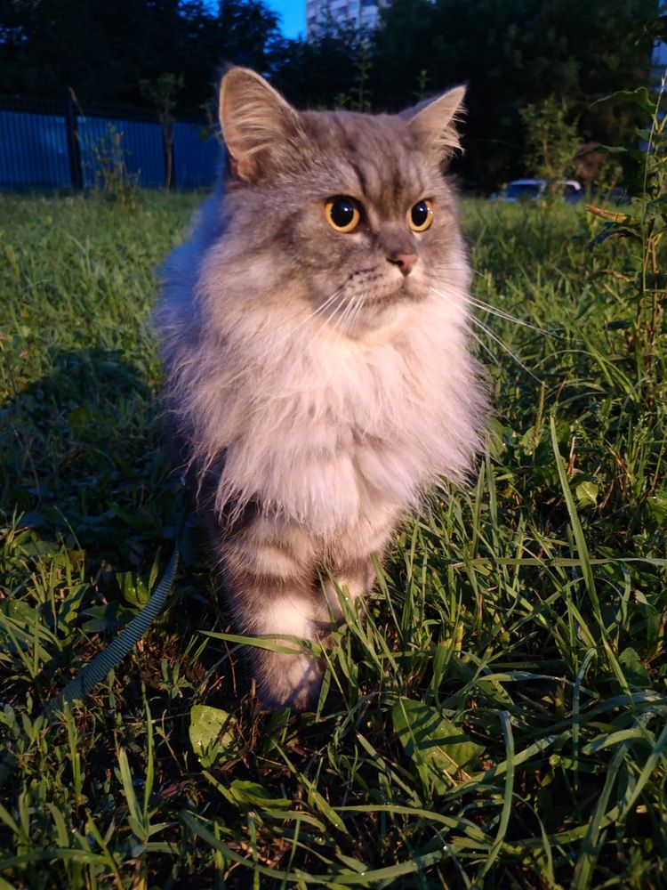 Photograph by Ольга Сошина