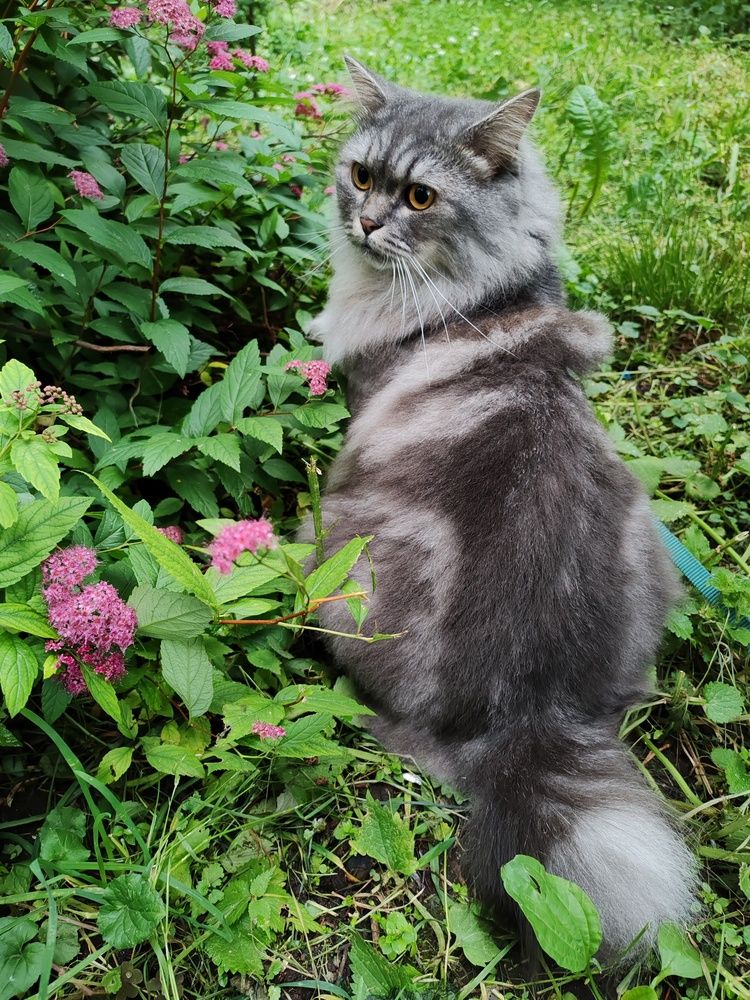 Photograph by Ольга Сошина