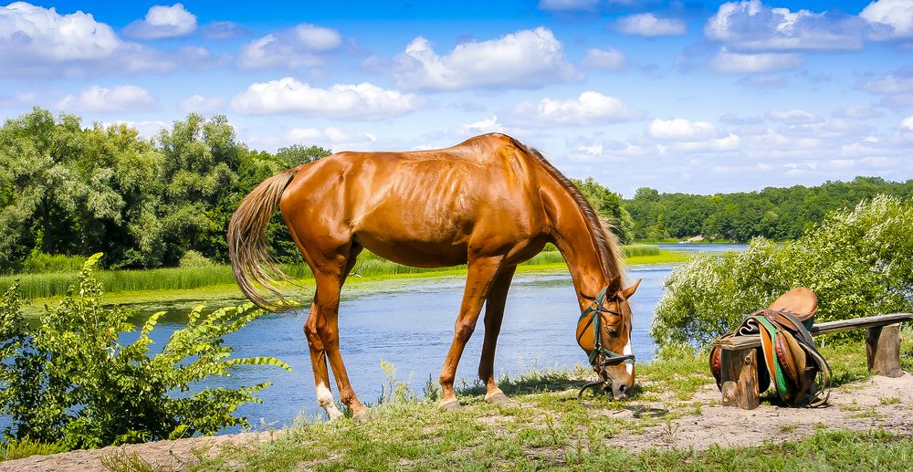 Photograph by Вячеслав Кровопусков