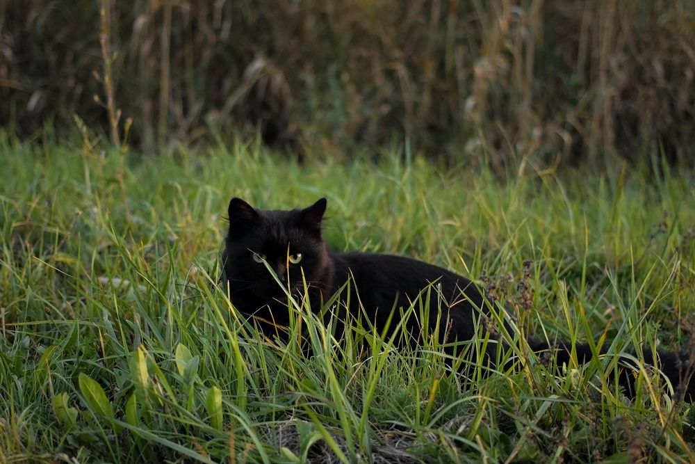 Photograph by Станислава Войцеховская