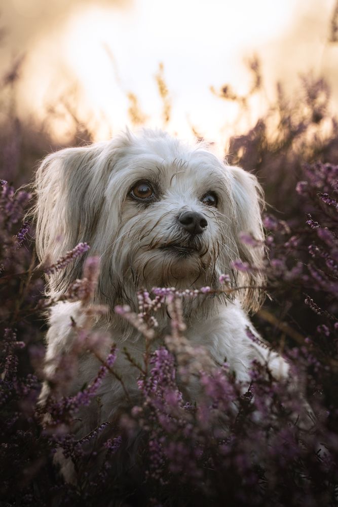 Photograph by Denise Strauch