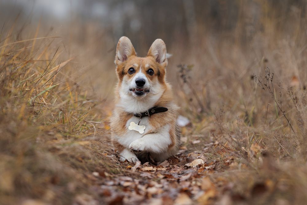 Photograph by Наталья Кирина