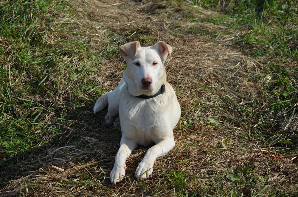 Photograph by Зинаида Фадеева