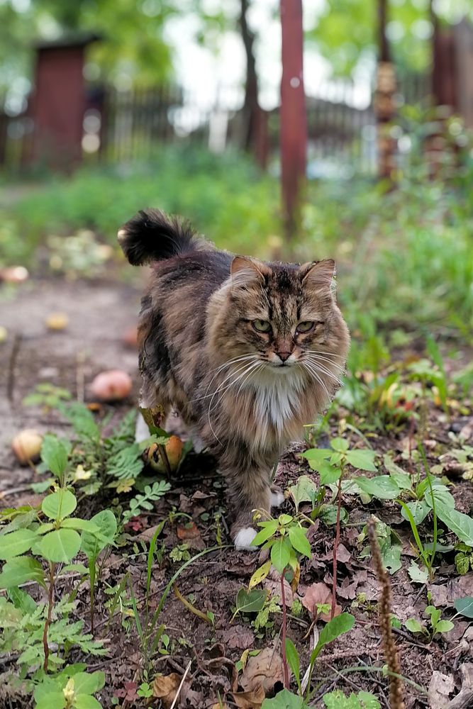 Photograph by Ксения Мельникова