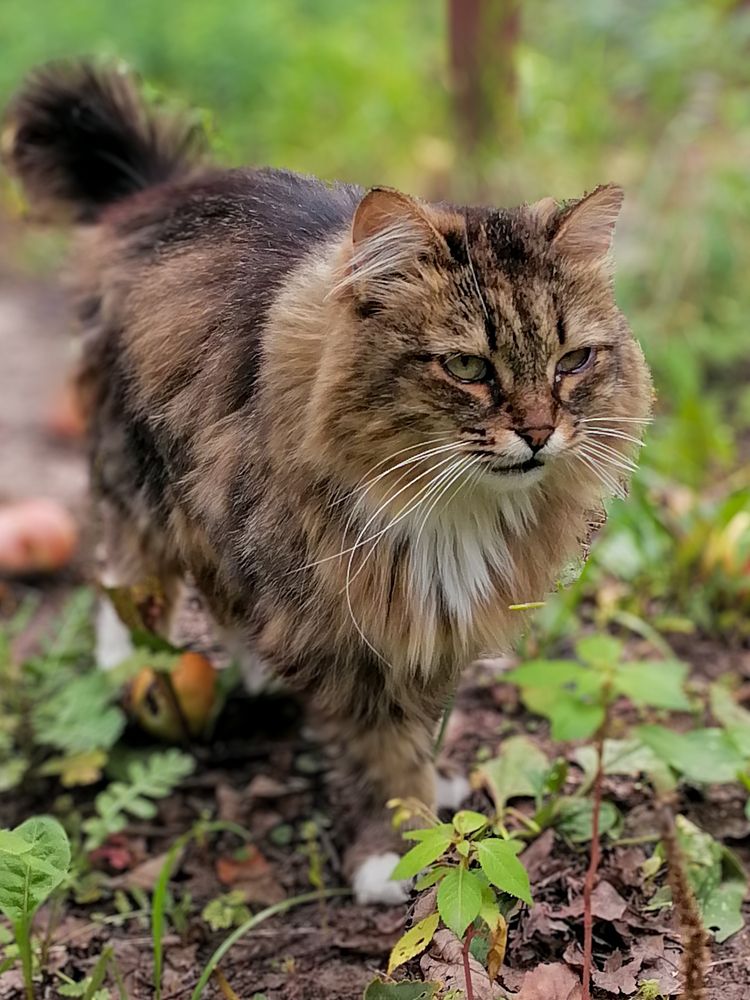 Photograph by Ксения Мельникова