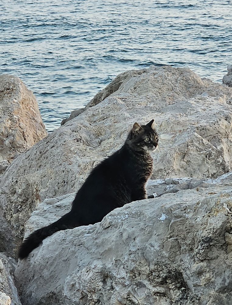 Фотография автора Oksana Podgorodetska