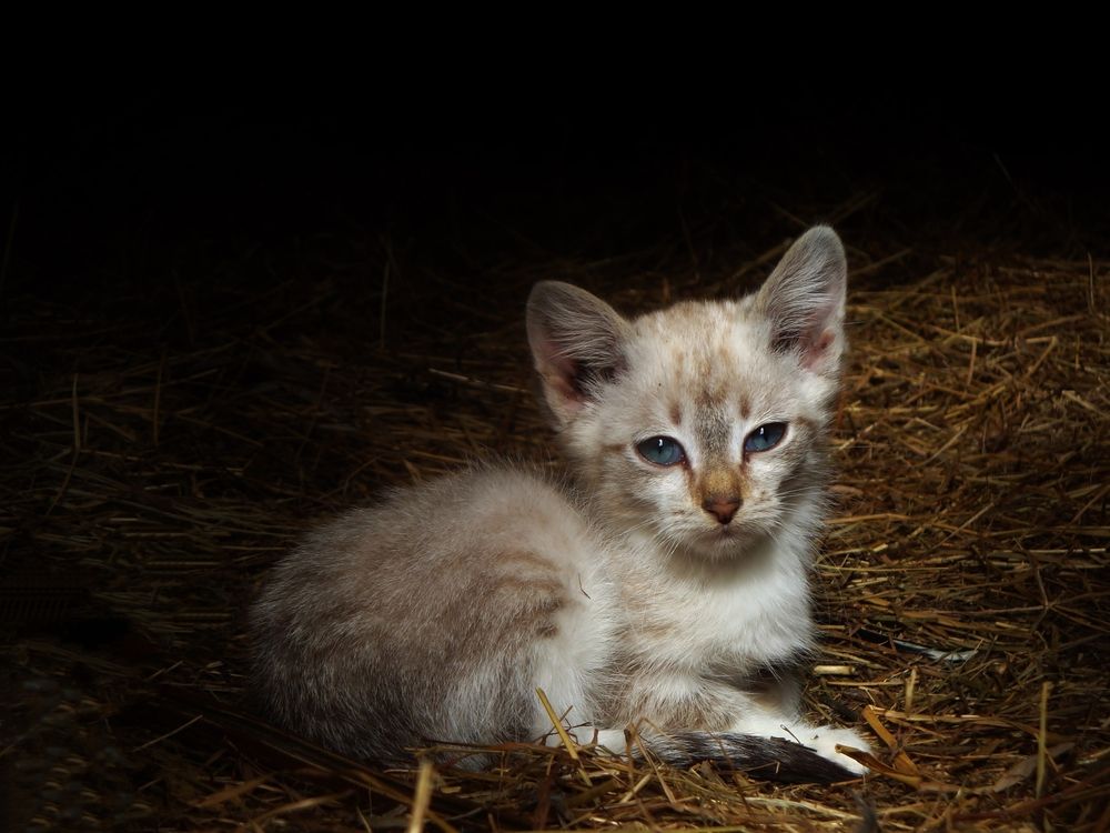 Photograph by Евгения Роде