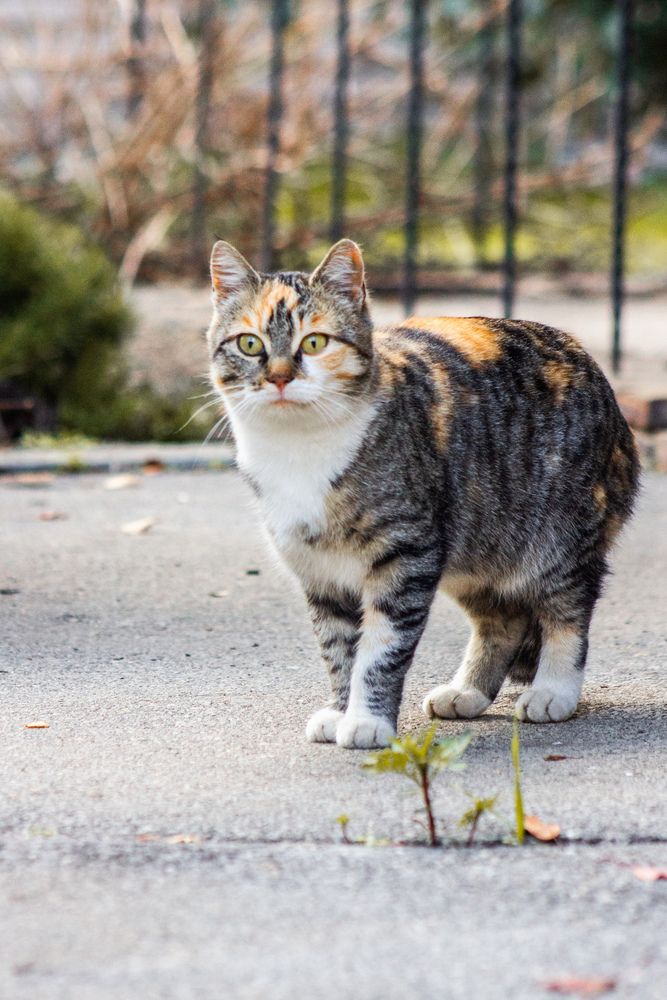 Photograph by Юлия Сысоева